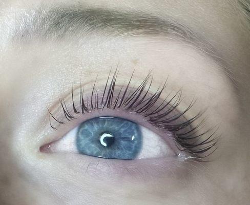 Lash lift + tint