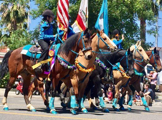 Burbank On Parade