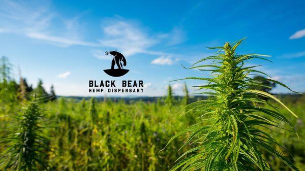 Black Bear Hemp Dispensary