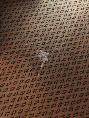 The disgusting semen stain on the carpet.