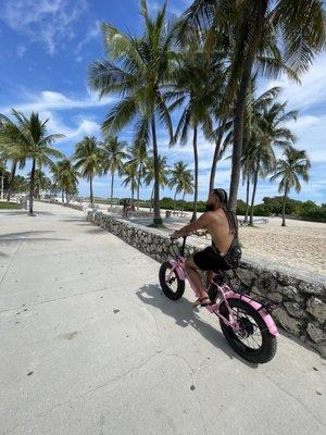 Bicycle rentals Miami Beach