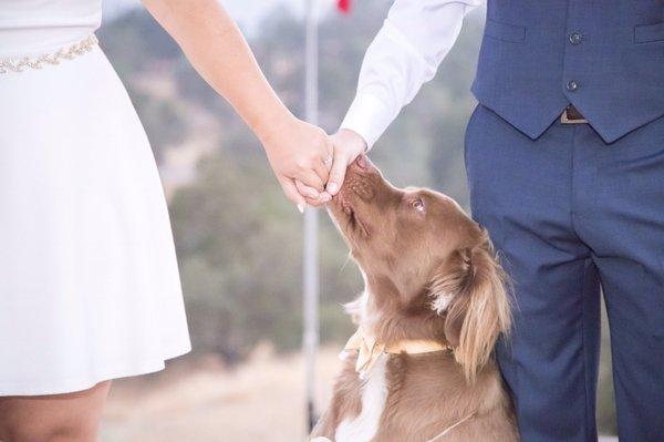 Guess who was the ring bearer ?