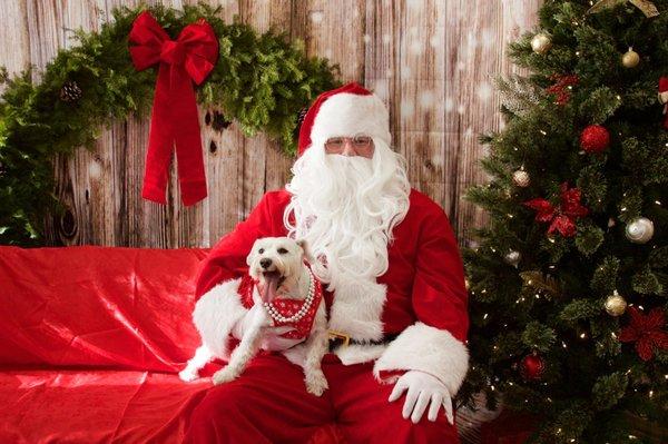 Santa's annual visit to Laketown for pet photos.