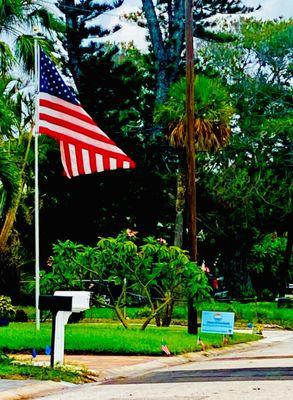 "Flags Out Beautiful Tropical St Pete Beach" (4th of July Holiday 2024)