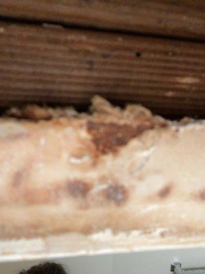 Mold and decay in linen closet.