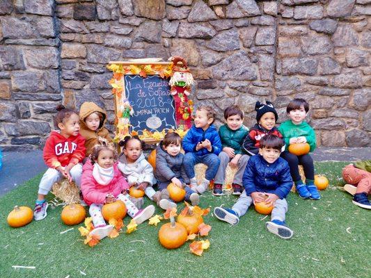 La Escuelita de Sofia's Pumpkin Patch 2018!