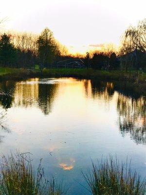 Glenn Dale Lake by the Splash Park