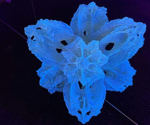 3D printed "Mammary Anatomy"