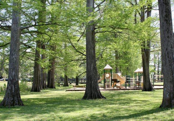 Playground in the trees