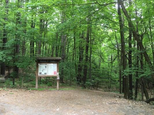 trailhead on solar hill. go get you a forest bath.