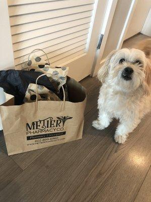 Nikki Sixx, loyal pup & patient of Metier Pharmacy, with his goodie bag!