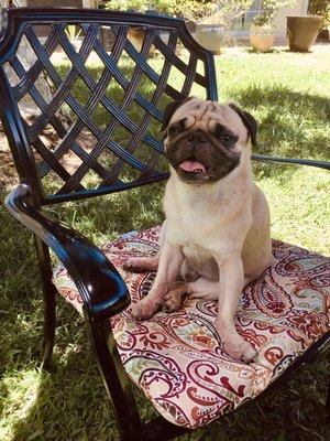 Norbu, guardian of Somaraja, enjoying a picnic in the sunshine