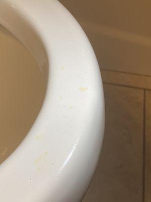 Toliet not cleaned