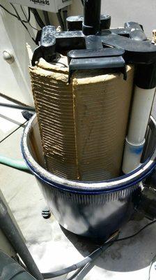 Inside of a dirty filter.