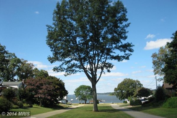 The road to the big pier