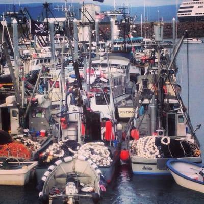 Busy Homer harbor as Salmon season starts