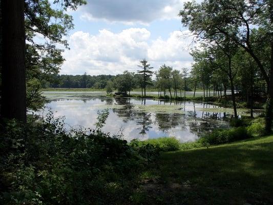 The view of the Charles River right across from Charlesbank Garden Apartments