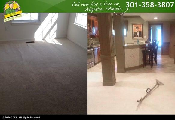 Floor Cleaning Services