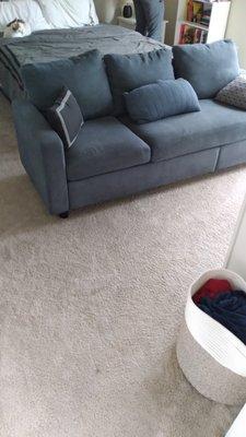 Carpet and couch cleaning