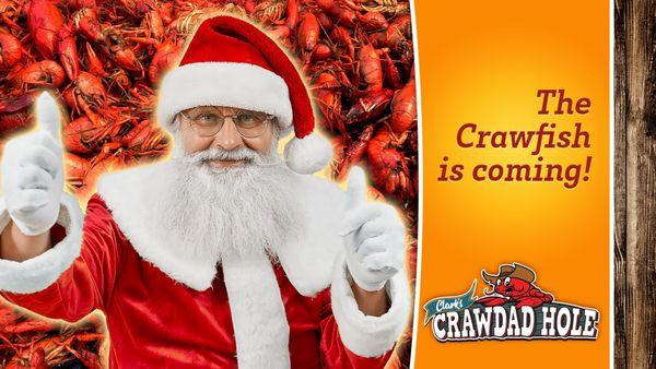 Crawfish is coming!