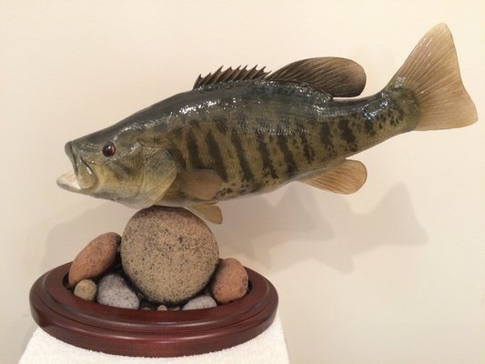 Realistic Creations Taxidermy