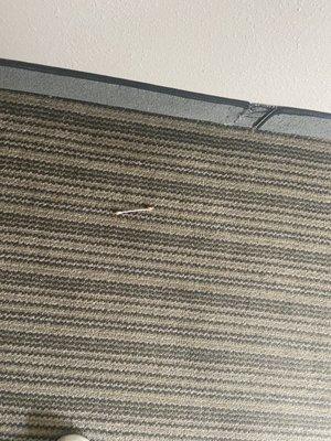 Yucky cotton swab on floor.