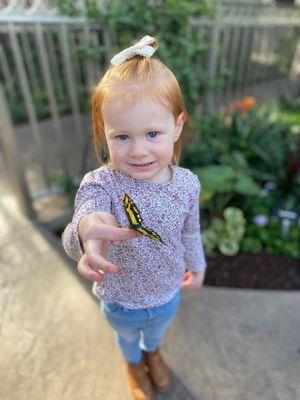 Butterfly room