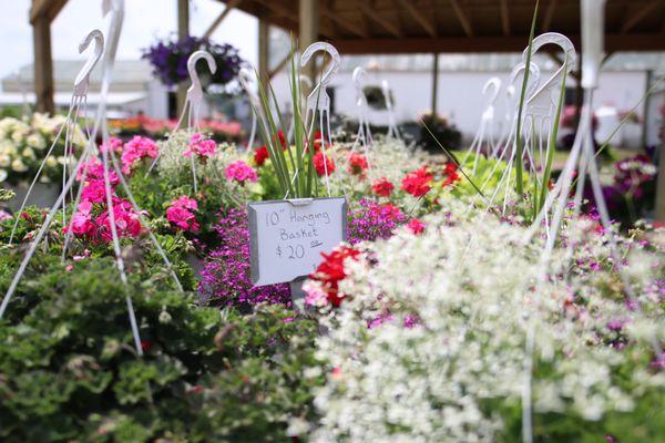 Hanging flower baskets are perfect for spring and summer