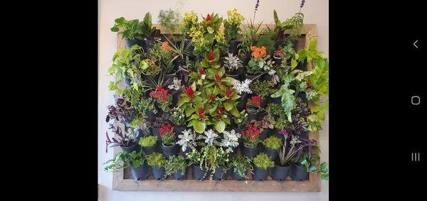 Plant wall... makes a great gift, decor, or focal point of a home, restaurant or business.