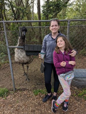 Emu pictures!