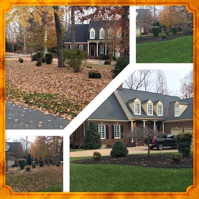 Residential leaf cleanup