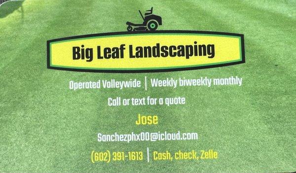 Big Leaf Landscaping