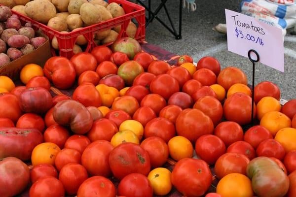 Tomatoes!