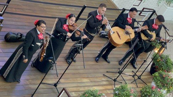 Mariachi Corazón de Maria is an incredibly talented group!