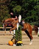 Ava Showing Toby over Fences