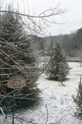 Hicks Nursery & Christmas Trees