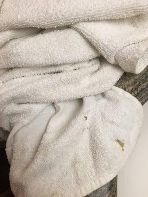 The "clean" towels we were given