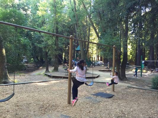 Great park in magnificent nature. Redwoods all around.