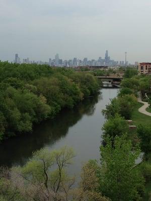 View from roof deck