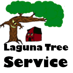 Laguna Tree Service EST 1973