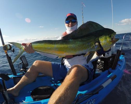 Mahi Mahi off Palm Beach