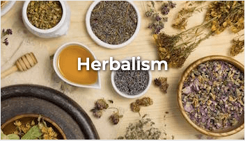 Herbs can be used to support health and wholeness, helping you stay at your personal peak of vitality and prevent disease development.