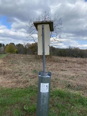 Bluebird nests