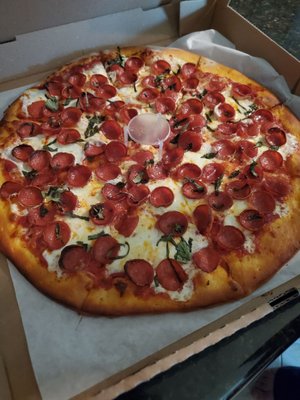 New York pizza