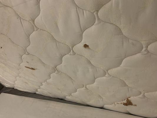 Stains under the mattress. Bed bugs? We may never know.