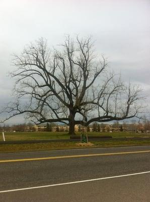 Gradin Community Sports Park