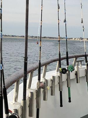 Fishing rods