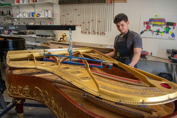 Removing the plate from Hamburg Steinway art case piano