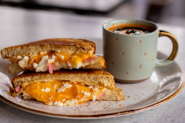 Gourmet Grilled Cheese | sourdough bread, cheddar cheese, swiss cheese, goat cheese, aioli, pickled onions