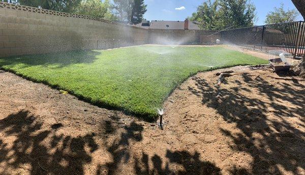 New sod and irrigation